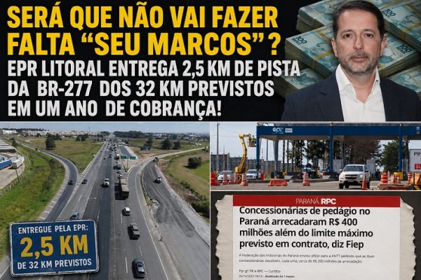 CFSDFSDF